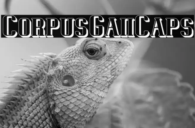 CorpusGaiiCaps Font examples