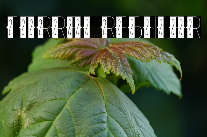 Corral Regular Example 1