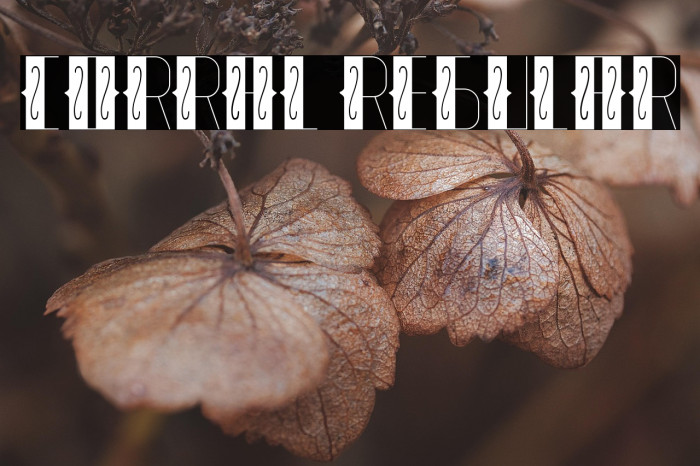 Corral Regular Example 2