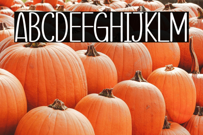 Correct Spelling Example 3