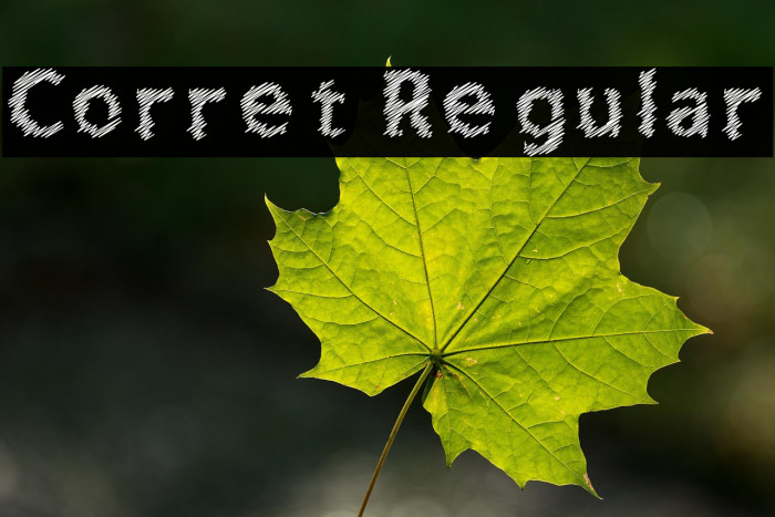 Corret Regular Example 3