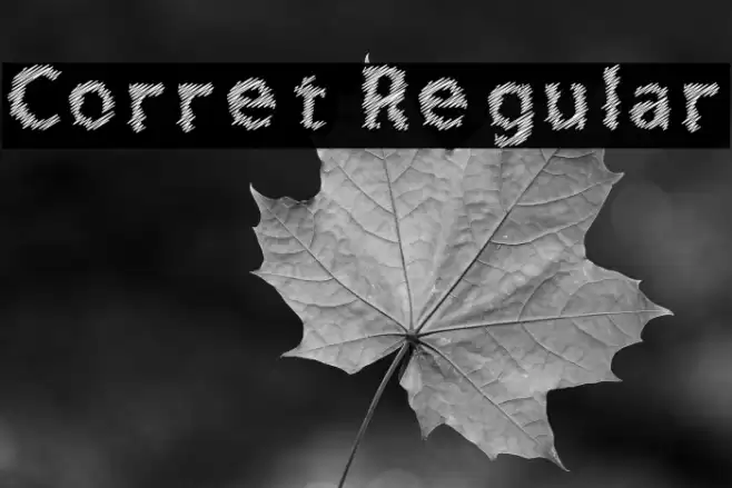 Corret Regular Font examples