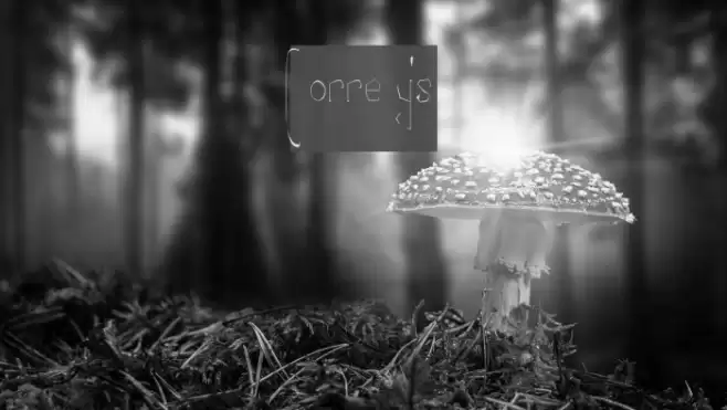 Correy's Font examples