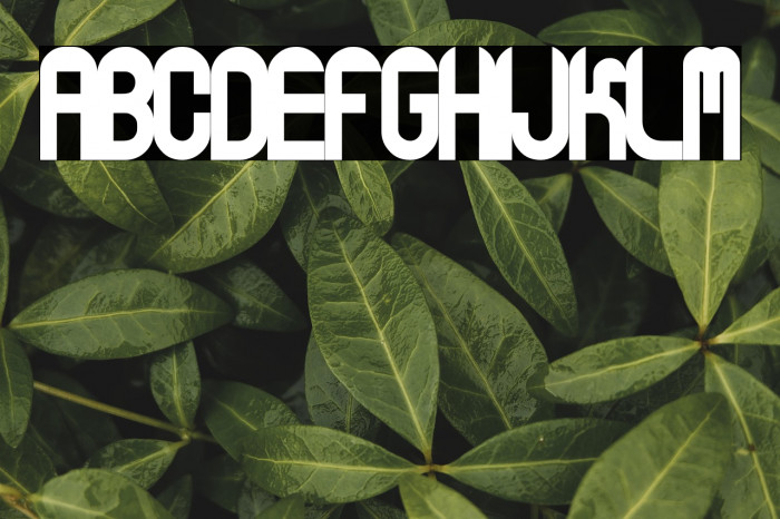 Corrint Demo Example 2