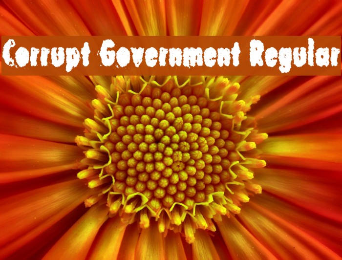 Corrupt Government Regular Font examples