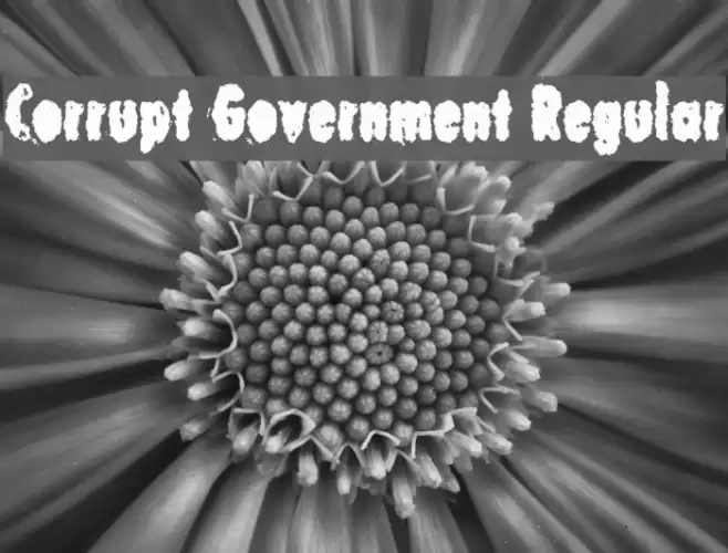 Corrupt Government Regular Font examples