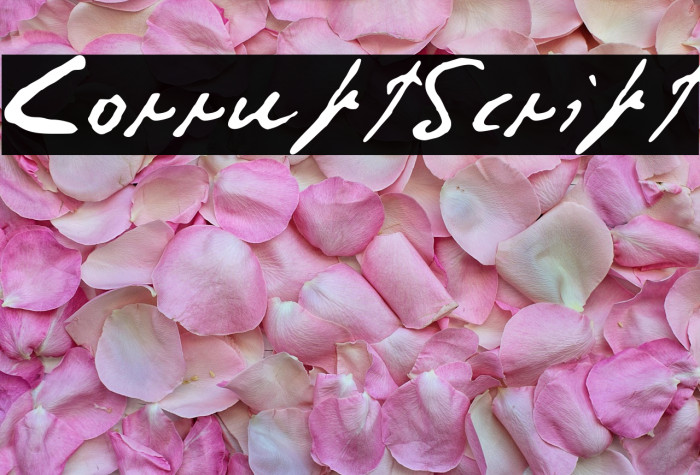 CorruptScript Example 1