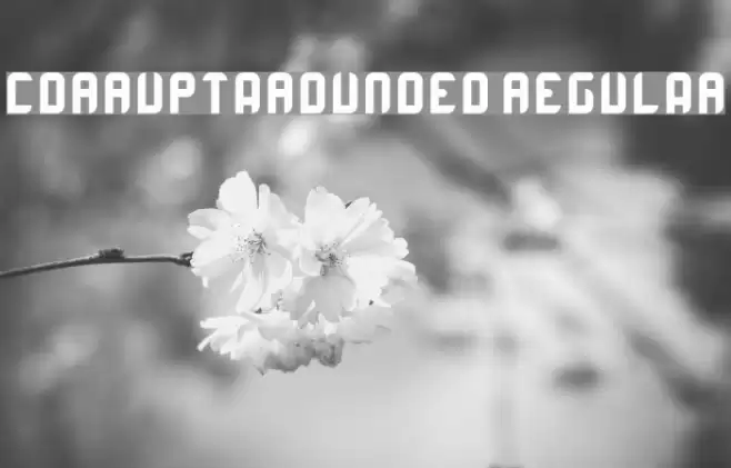 CorruptaRounded Regular フォント examples