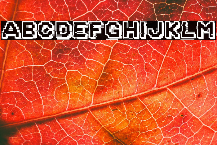 Corrupted File Example 3