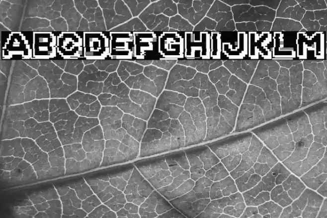 Corrupted File Caratteri examples