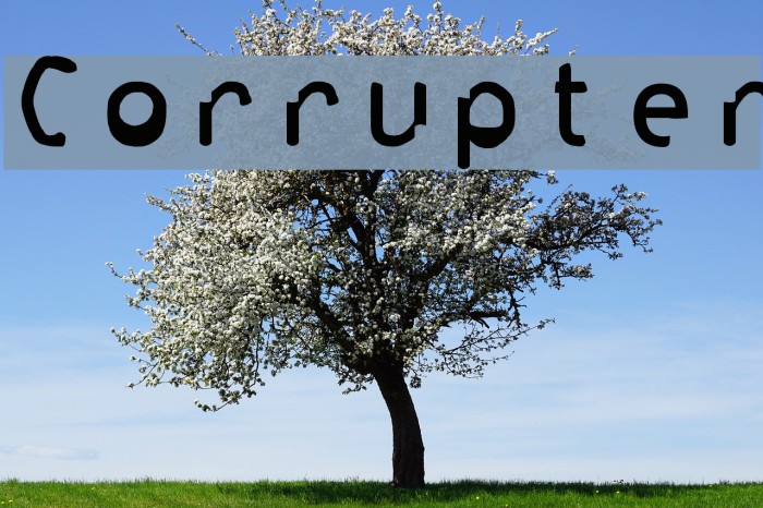 Corrupter Font examples