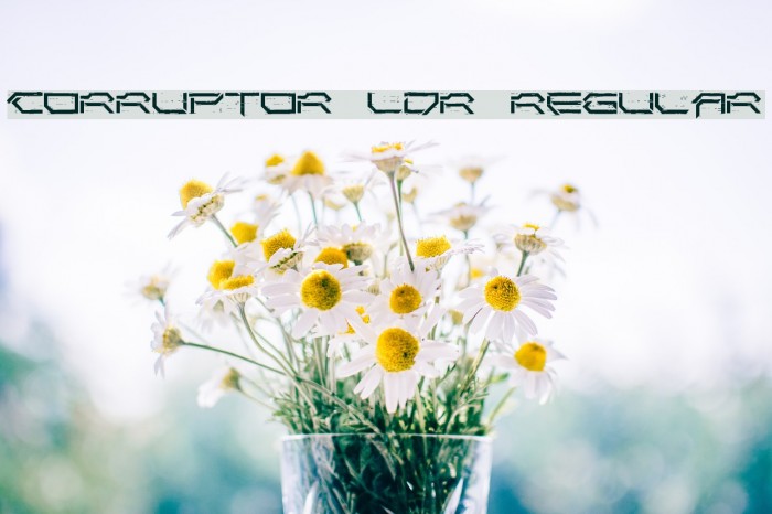 Corruptor LDR Regular Font examples