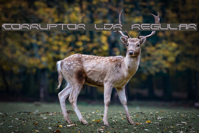 Corruptor LDR Regular Font examples