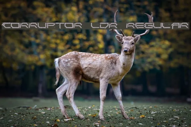 Corruptor LDR Regular Example 3