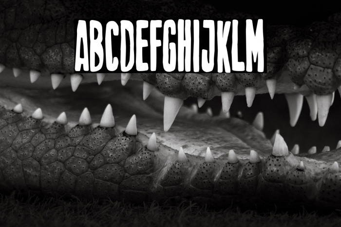 Cortafuegos de amor Example 3