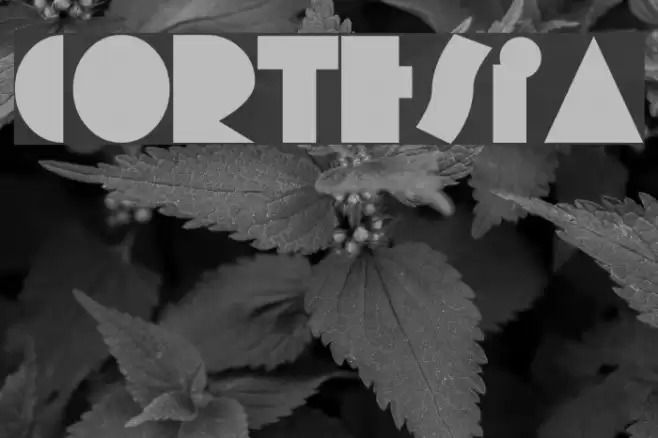 Cortesia Font examples