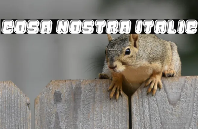 Cosa Nostra Italic Example 1