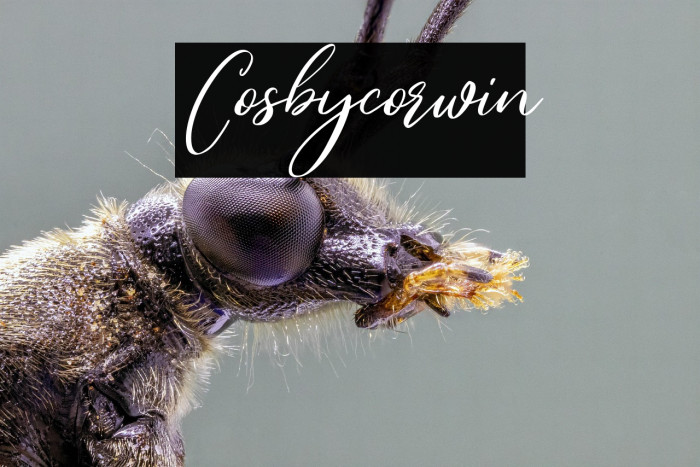 Cosbycorwin Example 1