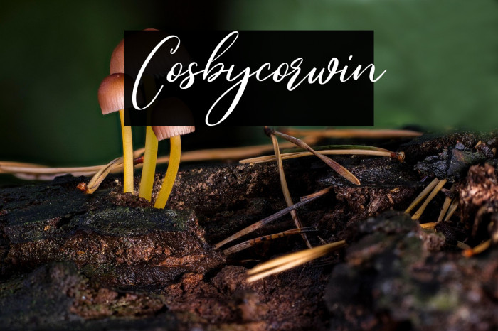 Cosbycorwin Example 3