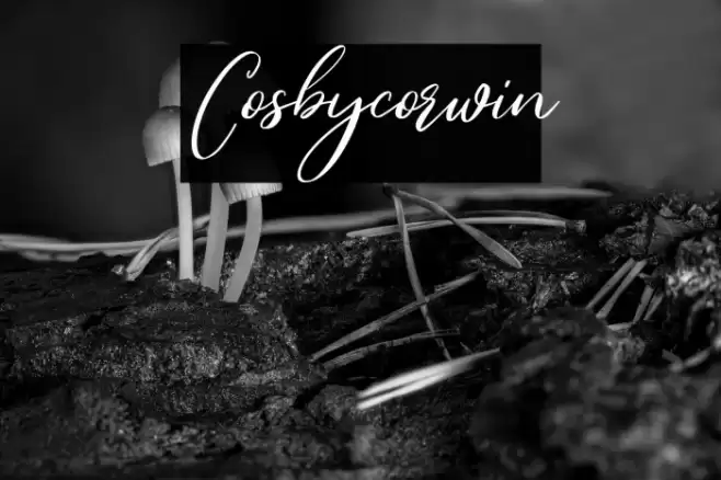 Cosbycorwin Fonte examples