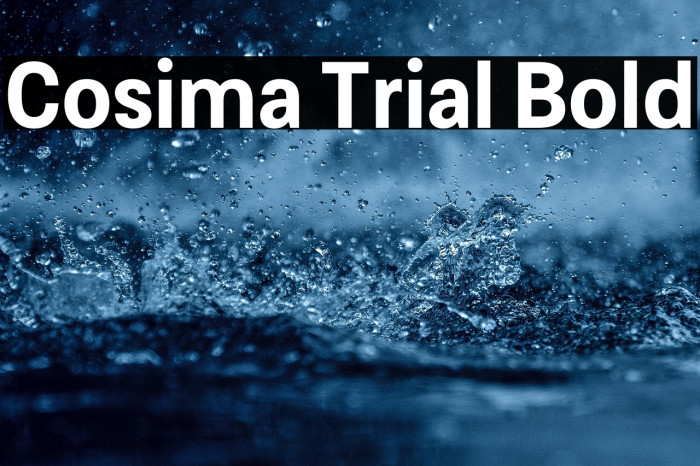 Cosima Trial Bold Example 1