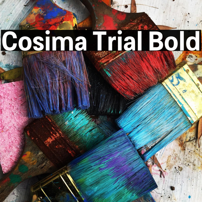 Cosima Trial Bold Example 2
