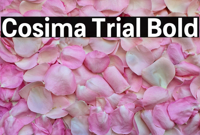 Cosima Trial Bold Example 3