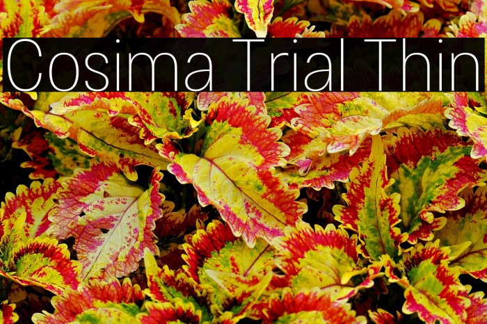 Cosima Trial Thin Example 2