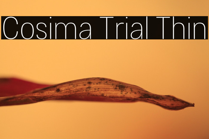 Cosima Trial Thin Example 3