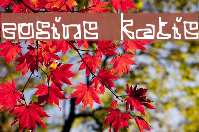 Cosine Katie Font examples