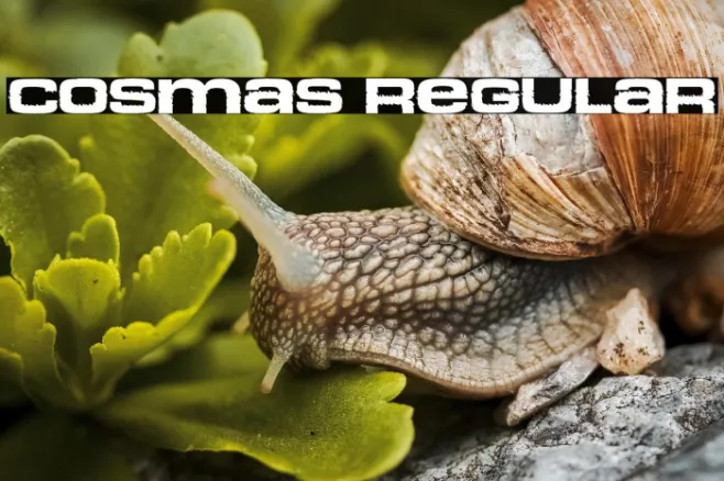 Cosmas Regular Example 1
