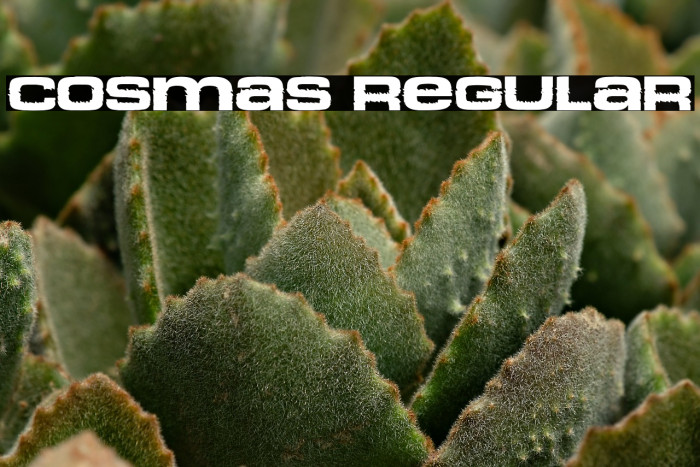 Cosmas Regular Example 2