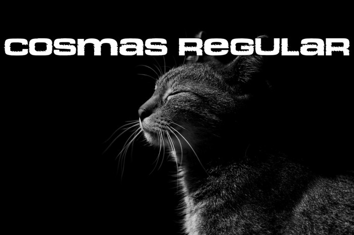 Cosmas Regular Example 3