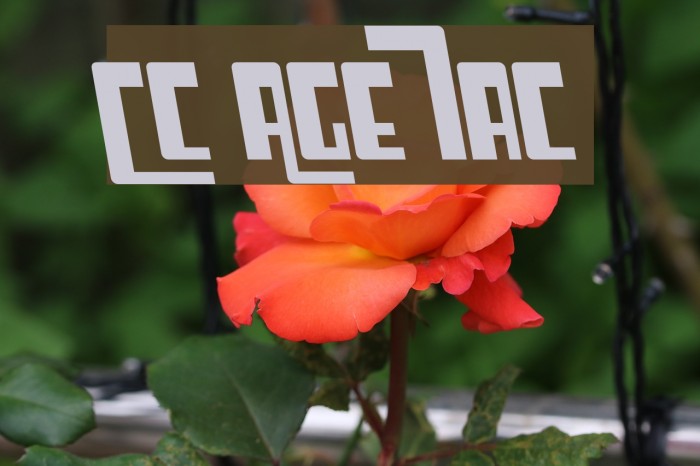 Cosmic Age Italic Fonte examples