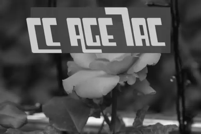 Cosmic Age Italic Font examples