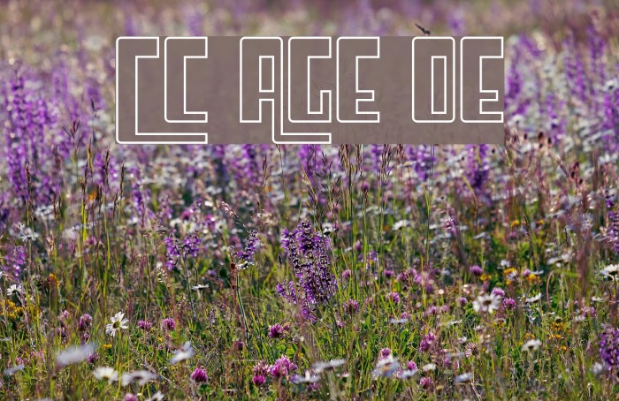 Cosmic Age Outline Font examples