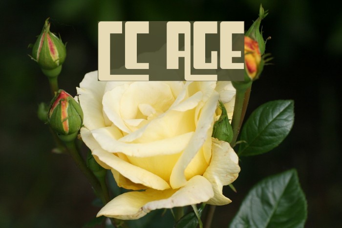 Cosmic Age Font examples
