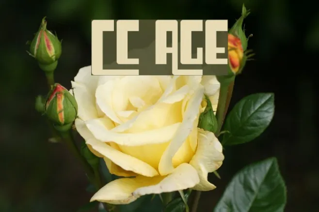 Cosmic Age Example 3