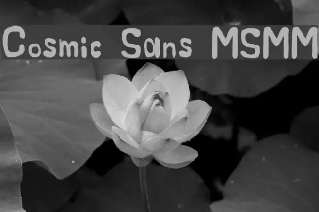 Cosmic Sans MSMM Font examples