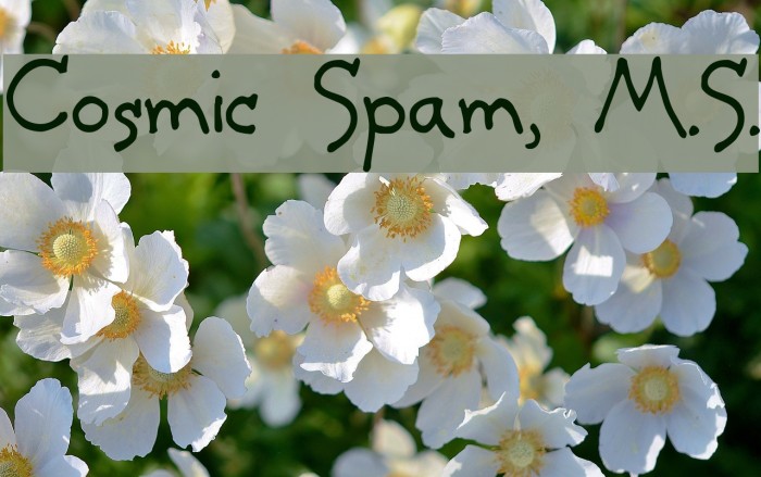 Cosmic Spam, M.S. Font examples