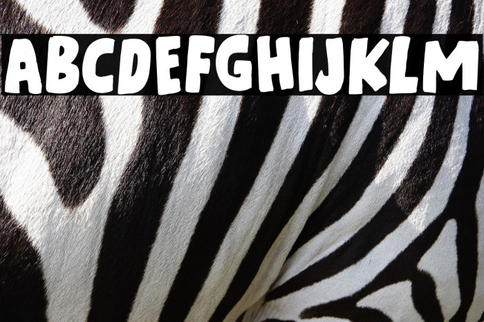 Cosmic Turtle DEMO Regular Example 1