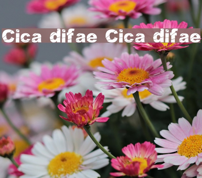 Cosmical disfase Cosmical disfase Font examples