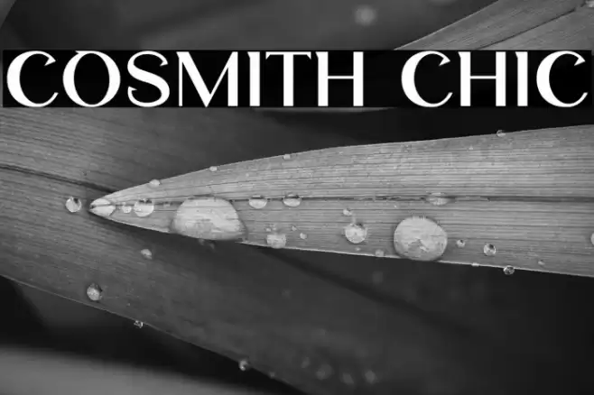 Cosmith Chic Font examples