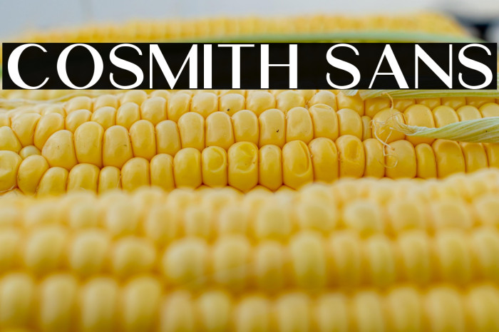 Cosmith Sans Example 3