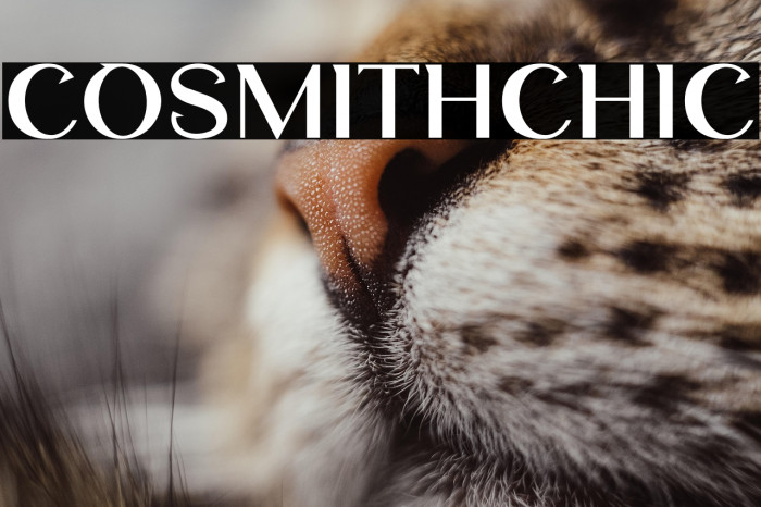 CosmithChic Example 2