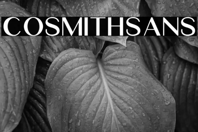 CosmithSans Font examples