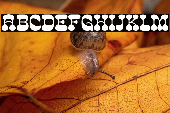 CosmoBonesDemo Example 2