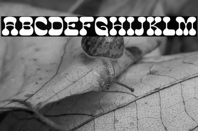 CosmoBonesDemo Fuentes examples