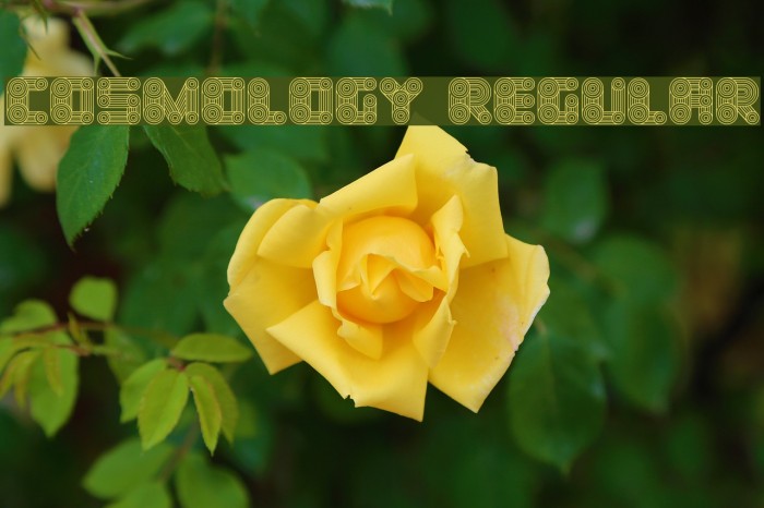 Cosmology Regular Font examples