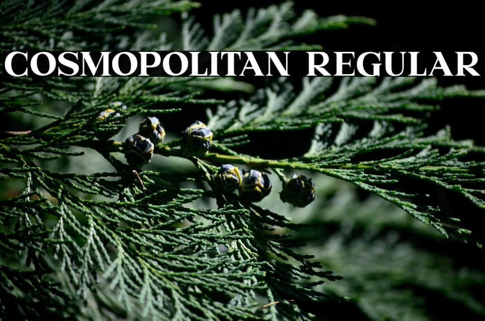 Cosmopolitan Regular Example 2